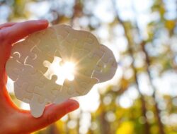 Ahli Gizi dan Pakar Saraf Di Harvard Ungkap 1 Konsumsi Bikin Otak Awet Muda