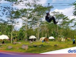 Outing Tetap Relevan Hingga Era AI, Banyak Perusahaan Gelar Team Building