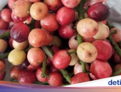 8 Buah Endemik Indonesia Ini Mulai Langka, Tahu Namanya?