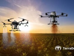 Diduga Pemicu Kebakaran Hingga Kemayoran, Inilah Jenis-jenis Baterai Drone