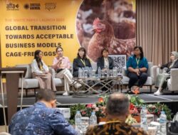 Menyejahterakan Hewan Ternak Lebih Baik, Model Usaha Telur Bebas Sangkar