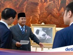 Pada Prabowo Pamerkan Foto Bayi Panda ‘Satrio’ Hingga Ketua Majelis Permusyawaratan Rakyat China