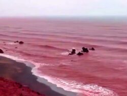 Warna Laut Teluk Persia Berubah Bersama Sebab Itu Merah Darah