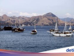 TN Komodo Ditutup buat Wisata-Warga Merana, Kemenhut Diminta buat Bantu