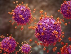 Jatim Catat 23 Tindak Kejahatan! Ini Sebaran 62 Pasien ‘Super Flu’ Ke Indonesia