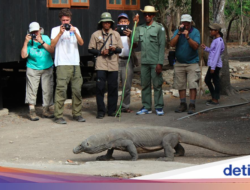 7 Negeri Tempat Wisata Terbaik Tahun 2026, Indonesia Masuk List