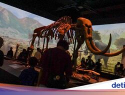Museum Nasional Indonesia Dari Sebab Itu Tujuan Kandidatteratas Sebagai Liburan Sambil Belajar
