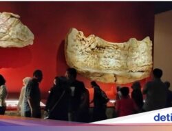 Cara Di Museum Nasional Menggunakan Transportasi Umum