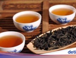 Sudah Tahu Belum? 7 Teh Termahal Hingga Dunia, Ada yang Rp 20 Miliar per Kg