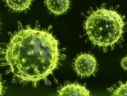 Bagaimana Penularan Patogen Nipah? Ini Penjelasan Ahli Epidemiologi