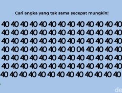 Hanya Untuk Pemilik Mata Super, Bisa Temukan Angka yang Berbeda?