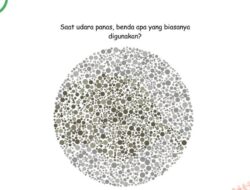Tes Mata Buta Warna atau Nggak, Coba Temukan Benda Tersembunyi Ke Gambar Ini