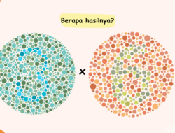 Tes IQ Sekaligus Cek Keadaan Mata, Bisa Tebak Hasilnya Berapa?