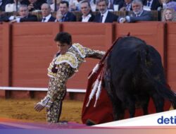 Kearifan Lokal Adu Banteng Kembali Bergulir Di Sevilla