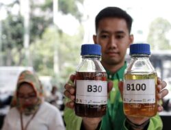 Kapan Biodiesel B50 Dimulai Di Indonesia?