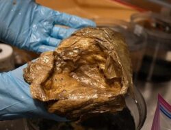 Misteri Telur Emas Diduga Yang Terkait Bersama Bersama Alien Terungkap