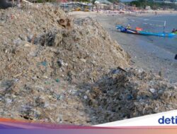 Sampah Di Bali, Kearifan Lokal Global Buang Sampah Sembarangan Sudah Ada Dari Era Kolonia