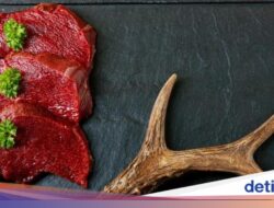Duh! Restoran Ini Ketahuan Simpan Bangkai Rusa Buat Dimasak Karena Itu Sup