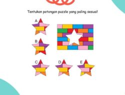 Bisa Mengecoh Kalau Buru-buru, Coba Temukan Potongan Puzzle yang Tepat
