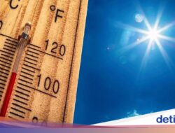 Gelombang Panas Eropa Pecahkan Pencapaian, Suhu Portugal Capai 40,3 Celcius
