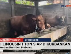 Istana soal Polemik 1.098 Sapi Kurban Pemimpin Negara: Pemberian Pemerintah Hingga Kelompok