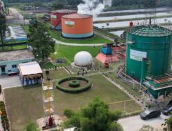 Kembaran Hijau Sumber Energi Siap Bersama Sebab Itu Pengganti LPG
