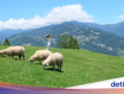 Saatnya Liburan Seru Di Countryside Taiwan!