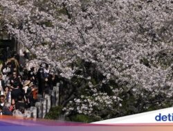 Siap-siap! Jepang Bakal Naikkan Biaya Visa-Izin Tinggal Untuk Warga Asing