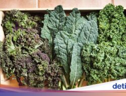 6 Daun Sehat Ini Punya Konsumsi Bergizi Melimpah, Bisa Jaga Imunitas dan Pencernaan