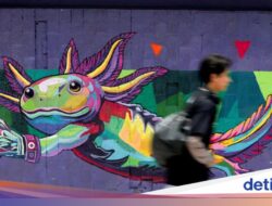 Ikon Trophy Dunia Axolotl Memicu Perdebatan soal Kelestarian Satwa