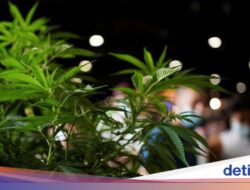 Di Sepakbola dan Ruang Gawat Darurat