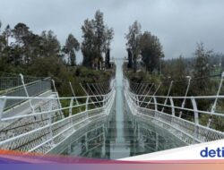 Jembatan Kaca Bromo Beroperasi Di LIbur Sekolah, TNBTS Gandeng Pengelola Swasta