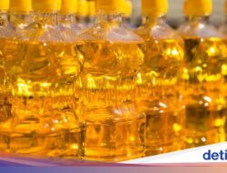 Catat! 5 Konsumsi Ini Wajib Masuk Kulkas Pada Cuaca Panas