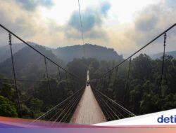 Sensasi Menyusuri Jembatan Terpanjang Di Asia Tenggara Di Di Hutan Sukabumi