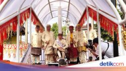 PDIP Vs PSI Soal Jokowi Jalani Ritual Injak Kepala Kerbau Ke Lampung