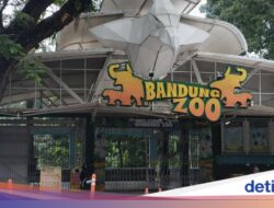 Faunaland Sah Karena Itu Pengelola Bandung Zoo, Wajib Bayar Rp 4,3 M Hingga Pemkot