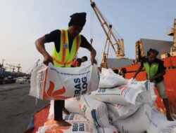 Amran Ungkap Ada Perusahaan Beras Raup Untung Tak Wajar Rp2 Triliun Setiap Bulan