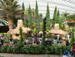 Indonesia Hadirkan 30 Instalasi Karya Seni Di Flower Dome Singapura, Tampilkan Pesona Nusantara