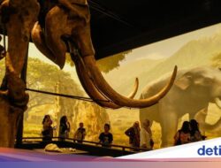 Libur Akhir Pekan, Yuk Jelajahi Museum Nasional