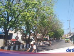 Misteri Angin Kencang Majalengka, Tak Ada Laut, tapi Hembusannya Dahsyat