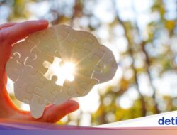 Bukan Cuma Untuk Usus, 6 Konsumsi Fermentasi Ini Jaga Otak Tetap Sehat