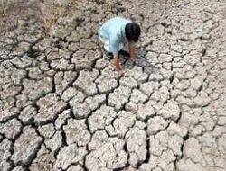 El Nino Super Kembali Setelahnya 11 Tahun, Kekeringan Hebat Akansegera Mengamuk Asosiasinegara-Negaraasiatenggara