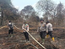 Peristiwa Pidana Karhutla, 95 Korporasi Masuk Tahap Penyelidikan dan Penyidikan